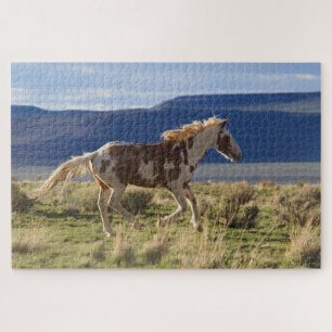 Puzzle Running Stallion, Steens Mountains, Oregon