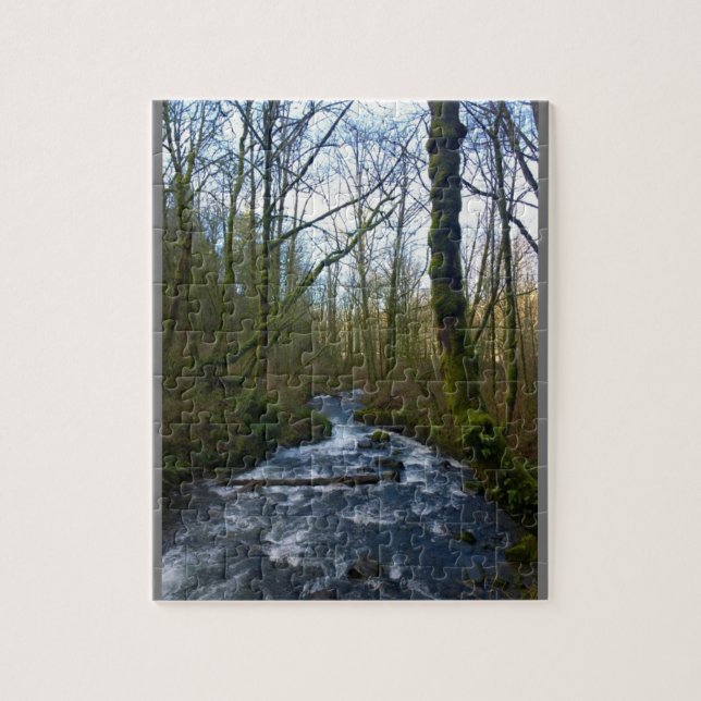 Puzzle Runoff from Bridal Veil Falls (Vertical)