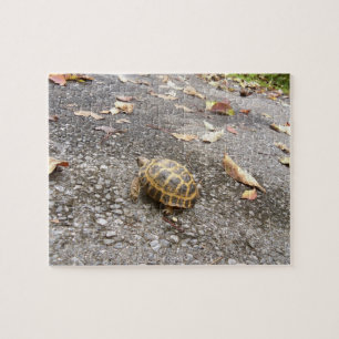 Puzzle russe d'intermédiaire de tortue