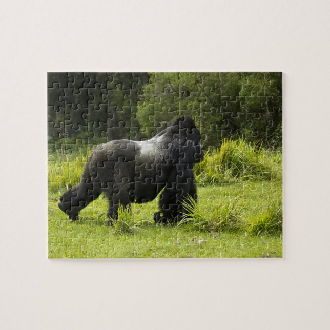 Puzzle Rwanda, Parc national des volcans (Horizontal)