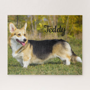 Puzzle Sable Cardigan Welsh Corgi Chien