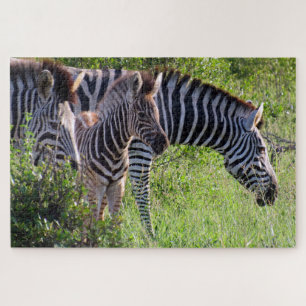 Puzzle safari zèbre