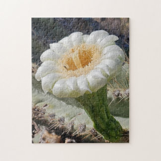 Puzzle Saguaro en fleurs, 28 x 35 cm, 252 pièces