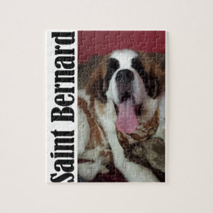 Puzzle Saint Bernard