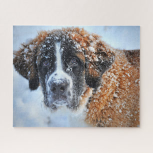 Puzzle Saint Bernard dans la neige