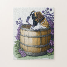 Saint Bernard Dog