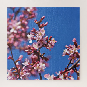 Puzzle Sakura Cerisiers en Fleur Touchant le Bleu