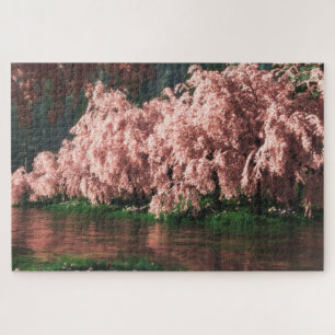Puzzle Sakura (Deluxe)
