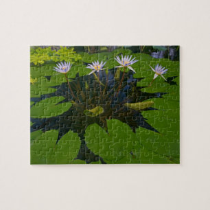 Puzzle San Francisco Californie, le parc Golden Gate et