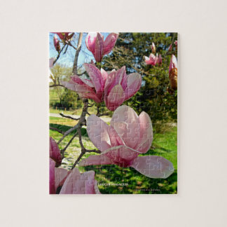 Puzzle Saucer rose D'Inspiration Naturelle Magnolia Bloom