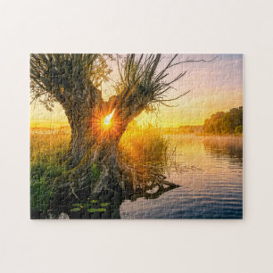 Puzzle Saule têtard au lever de soleil brumeux sur la riv