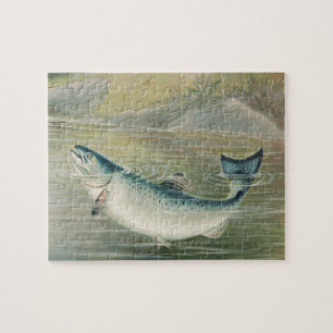 Puzzle Saumon de Californie par S.A. Kilbourne, Poisson V