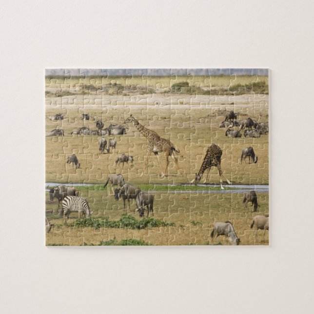 Puzzle Sauvages, zèbres et girafes (Horizontal)