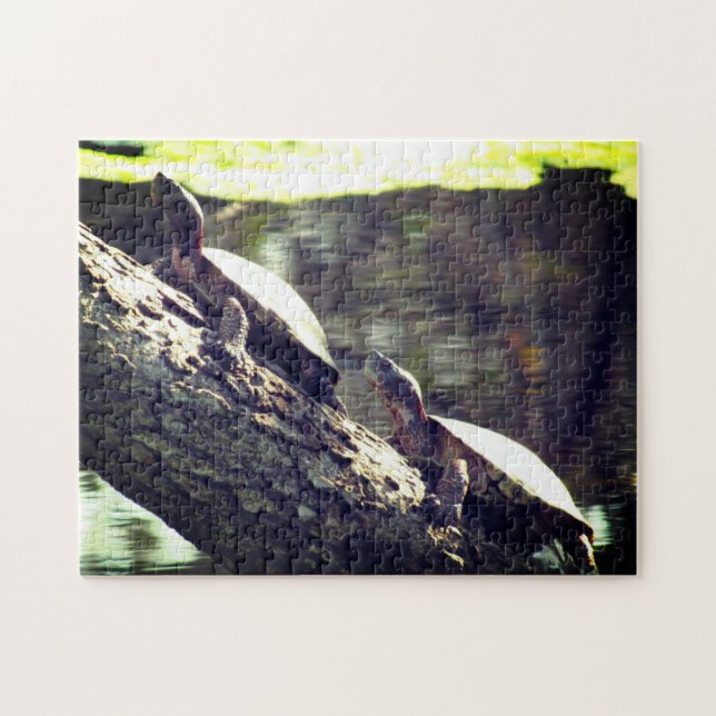 Puzzle - Schildkröten auf einem Stein (Horizontal)