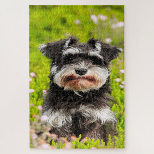 Puzzle Schnauzer Dog Jigsaws.