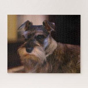 Puzzle Schnauzer Dog Jigsaws.