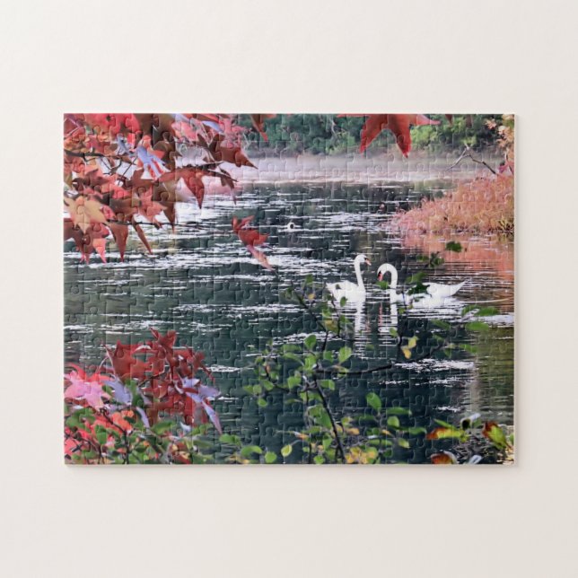 Puzzle - Schwäne am Jenney Pond (Horizontal)