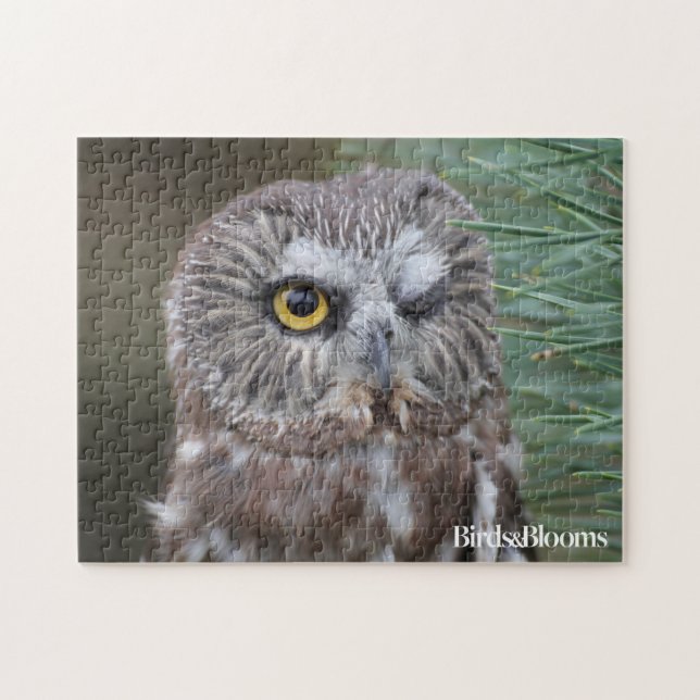 Puzzle Scie-affûtez le hibou (Horizontal)