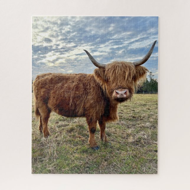 Puzzle Scotland Highland Cow Farm Field (Vertical)