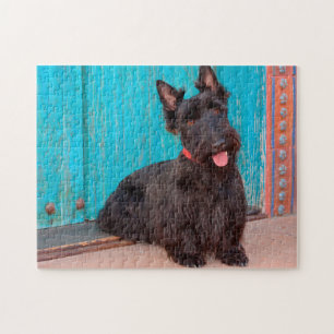 Puzzle Scottish Terrier assis à la porte colorée
