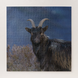 Puzzle Scottish Wild Goat