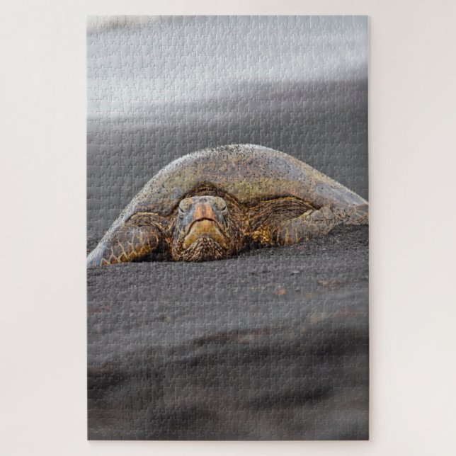 Puzzle Sea Turtle Black Sand Beach Hawaii -20x30- 1014 pc (Vertical)