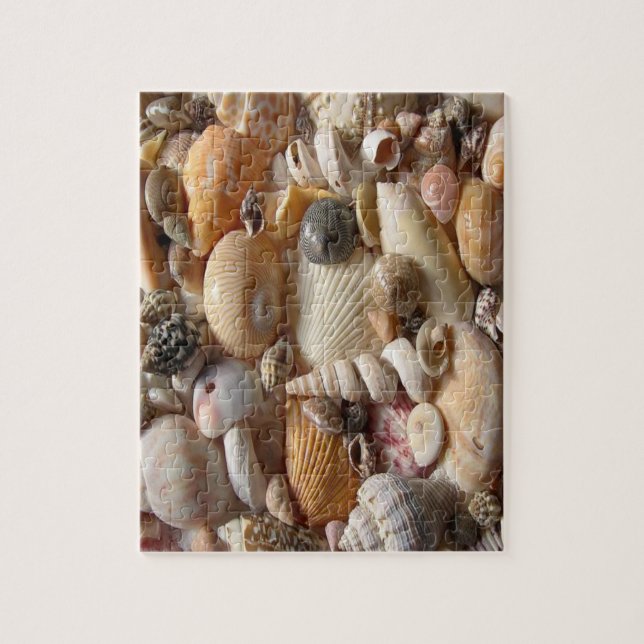Puzzle Seashell (Vertical)