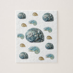 Puzzle Seashell
