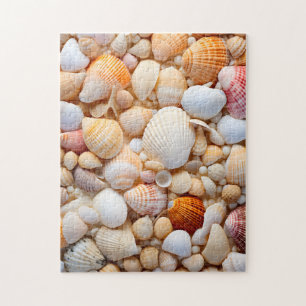 Puzzle Seashell Puzzle.