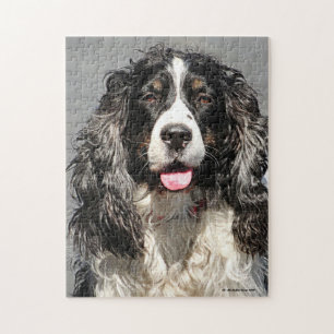 Puzzle secouru Springer Spaniel Dog Jigsaw Puzzle