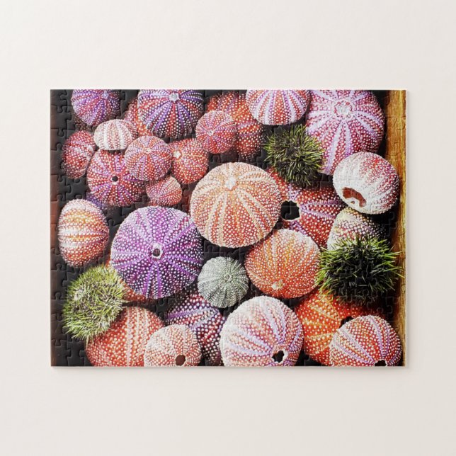 Puzzle Seeigel (Horizontal)