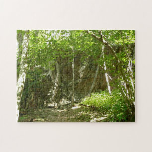 Puzzle Sentier de découverte de Frazier à Shenandoah Phot