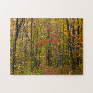 Puzzle Sentier de Laurel Hill en automne