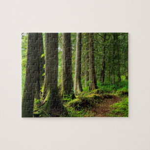 Puzzle Sentier Scénique de la Forêt Verte