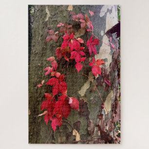 Puzzle Sentiments d'automne, feuilles rouges sur un arbre