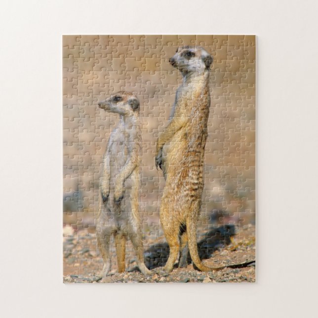 Puzzle Sentinelles de suricate (Suricata Suricatta), Kara (Vertical)