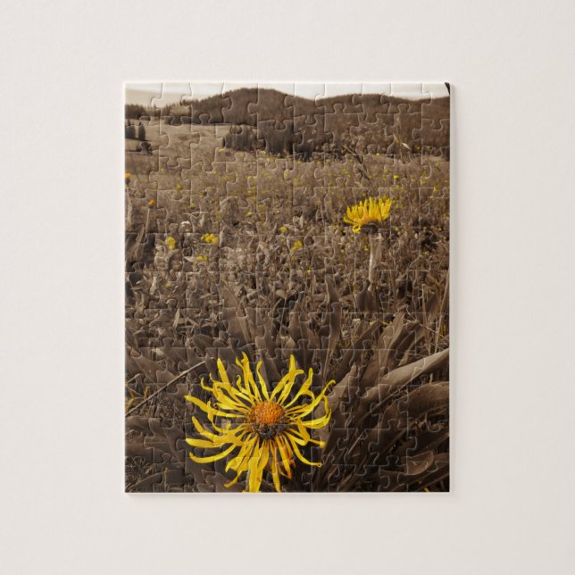 Puzzle Sepia tone fleurs sauvages jaunes (Vertical)