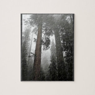 Puzzle Séquoia géantes dans le brouillard, CA