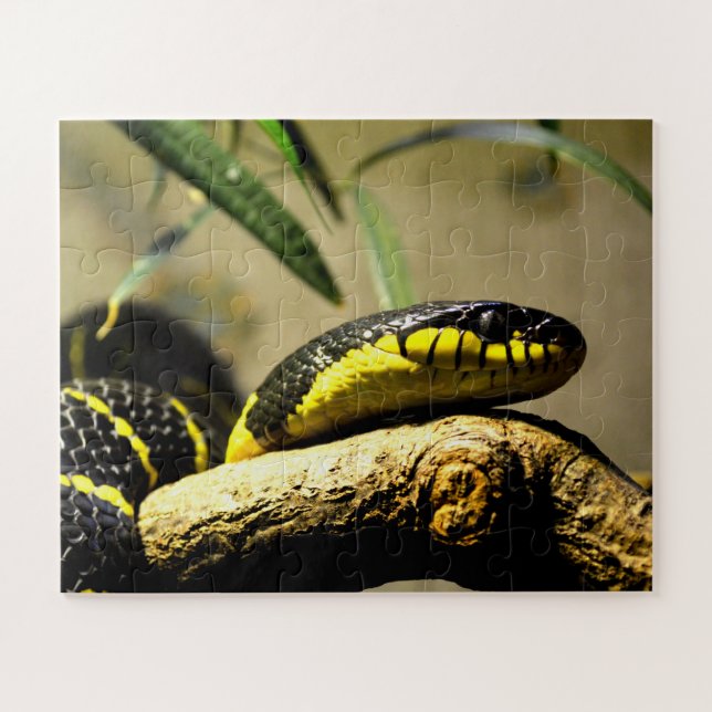 Puzzle Serpent (Horizontal)