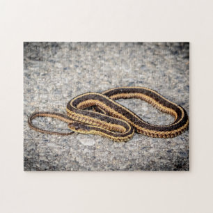 Puzzle Serpent à ruban de l'Est (Serpent à grains)