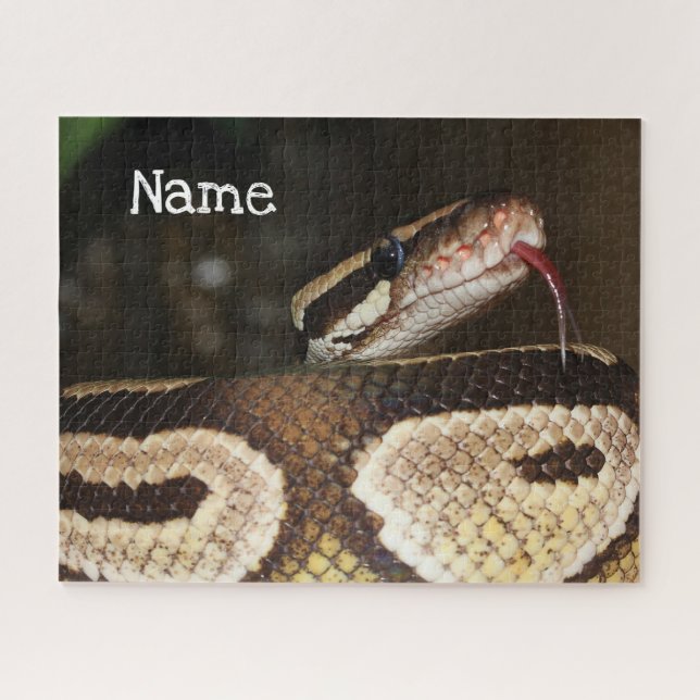 Puzzle Serpent pour animal de compagnie Python à bal pers (Horizontal)