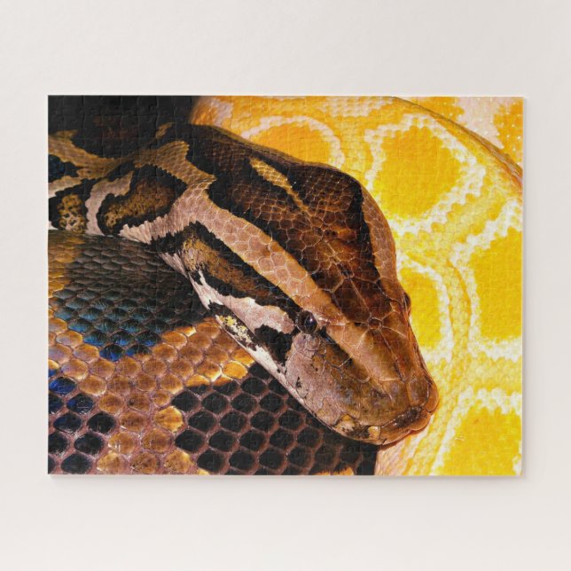Puzzle Serpent python birman (Horizontal)