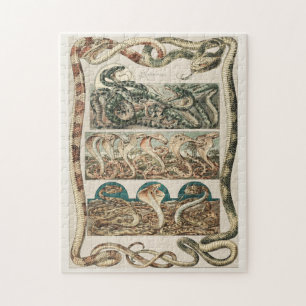 Puzzle Serpents, cobré, vipère, Art nouveau par Anton S