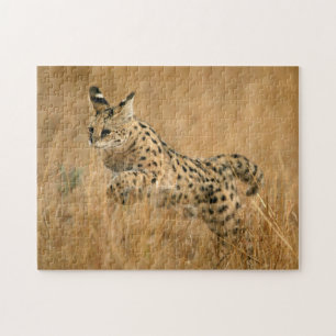 Puzzle Serval (Leptailurus Serval) sautant