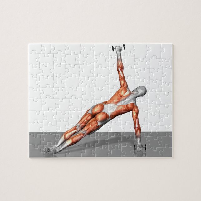 Puzzle Setanta Push Up 3 (Horizontal)