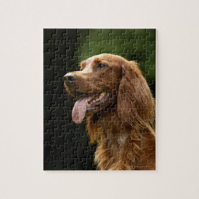 Puzzle Setter 2 irlandais (Vertical)
