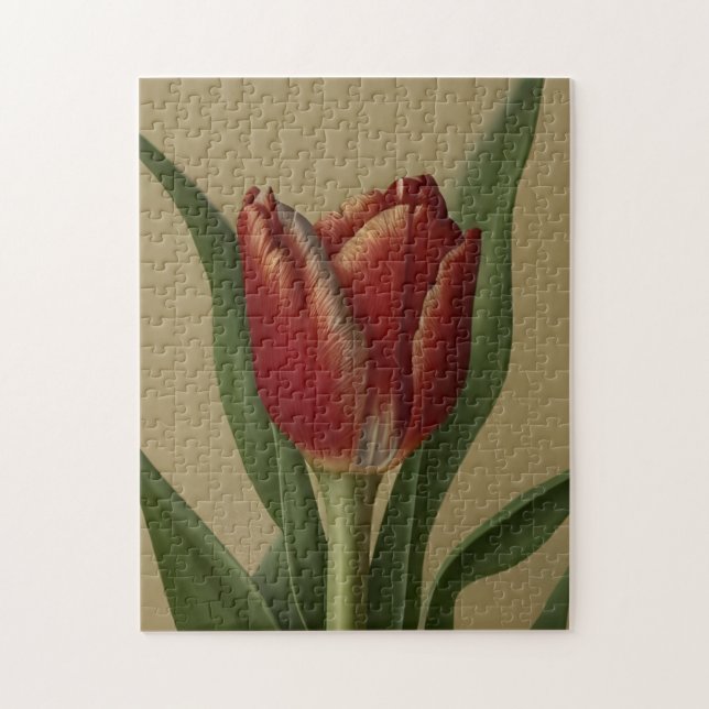 Puzzle Shabby Chic Jolie Tulipe Rouge (Vertical)