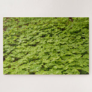 Puzzle shamrock
