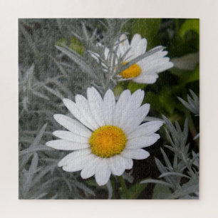 Puzzle Shasta Daisy Flowers et Artemisia