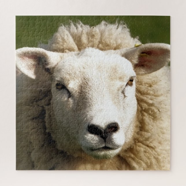 PUZZLE SHEEP (Vertical)